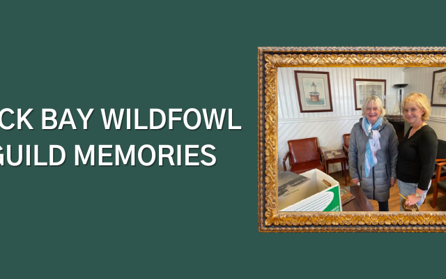 Back Bay Wildfowl Guild Memories