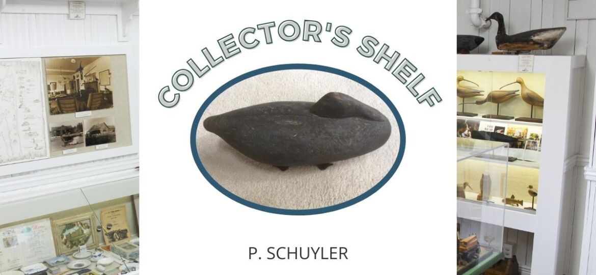 Collector's Shelf (1)