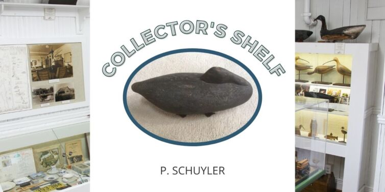 Collector's Shelf (1)